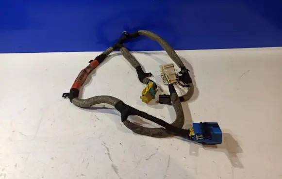 Other wiring loom