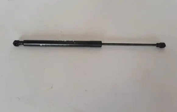 Tailgate strut