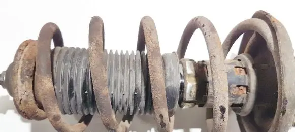 Seat Leon (1M) Front coil spring