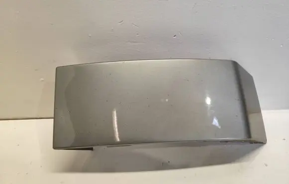 Rear/tail light trim molding