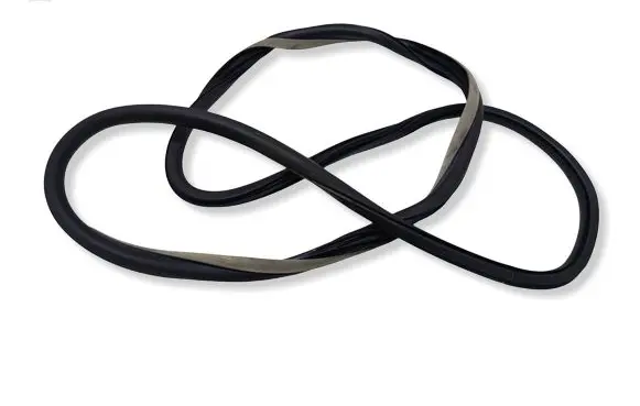 Renault Laguna III Front door rubber seal 