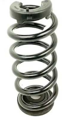 Volkswagen ID.3 Front coil spring 1EA511103C LS9R