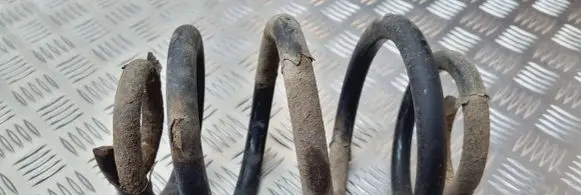 Ford Galaxy Rear coil spring