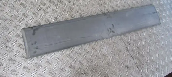Renault Trafic II (X83) Loading door trim (molding) 8200036093 91165348