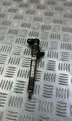 Nissan Juke I F15 Fuel injector 166008052R