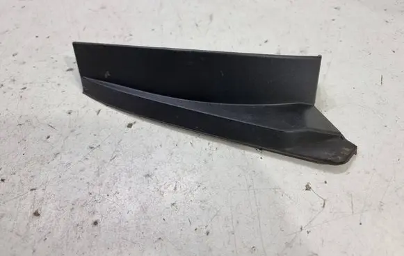Rear/tail light trim molding