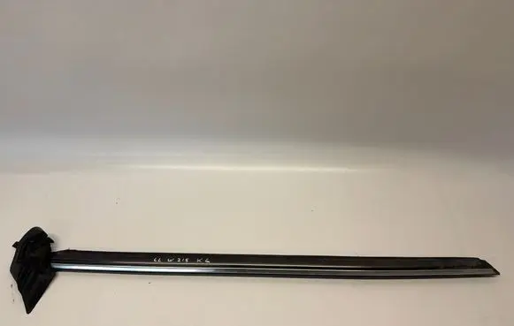 Mercedes-Benz CL C215 Rear door rubber seal (on body) A2156700338