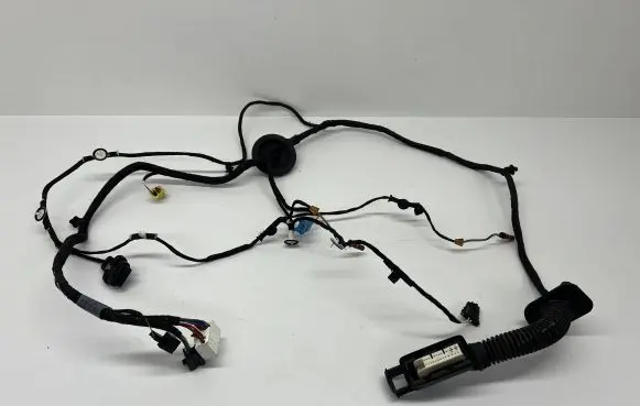 Audi A5 Front door wiring loom 8W6971030bg 3003201B TAB010403DH