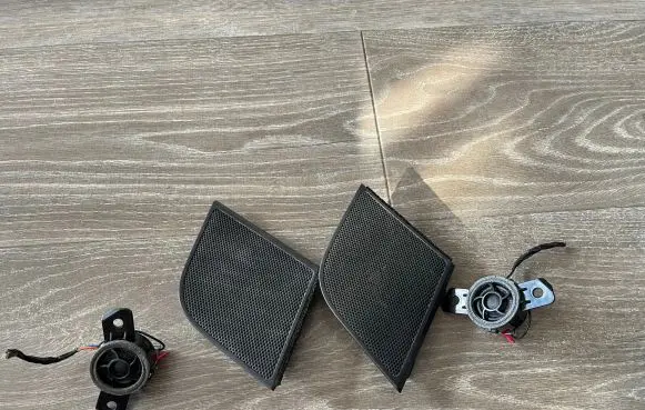 Hyundai Santa Fe Panel speaker TS10 NSR9