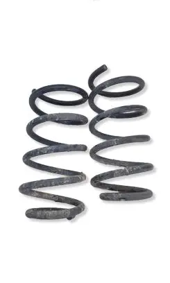 Hyundai Santa Fe Rear coil spring 