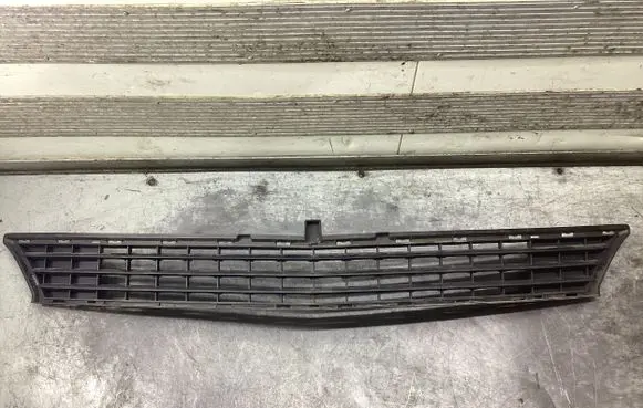 Mercedes-Benz B W245 Front bumper lower grill