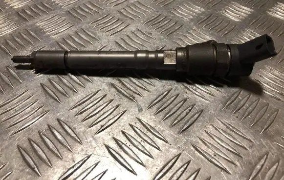 Hyundai Santa Fe Fuel injector 0445110064 3380027010