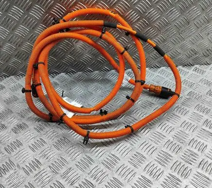 BMW i3 Other wiring loom 6840442 6840443