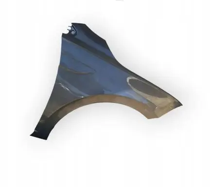 Volkswagen Polo VI Fender 2G0821106
