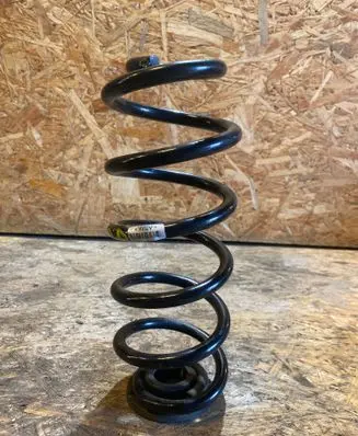 Opel Astra K Rear coil spring 13369945