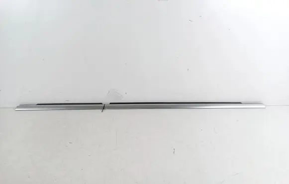 Rear door trim (molding)