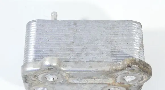 Porsche Cayman 987 Oil cooling pipe 98710702501