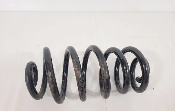 Rear coil spring