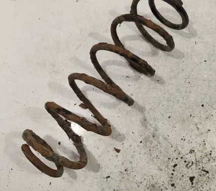 Renault Laguna II Rear coil spring