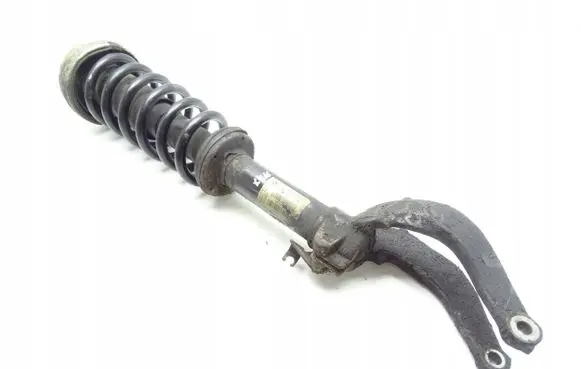 BMW X6 E71 Front shock absorber with coil spring 6783016