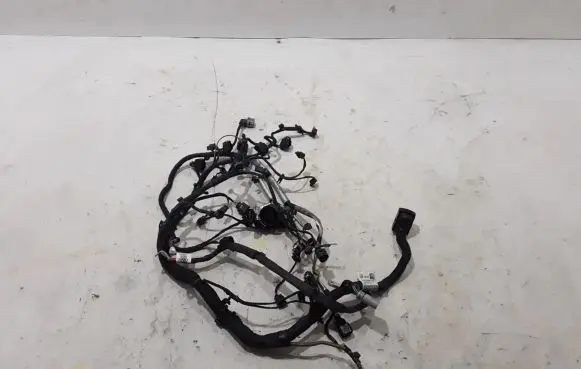 Engine installation wiring loom