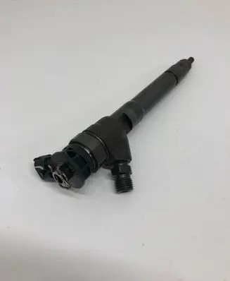 Renault Scenic III - Grand scenic III Fuel injector H1055367 0445110414