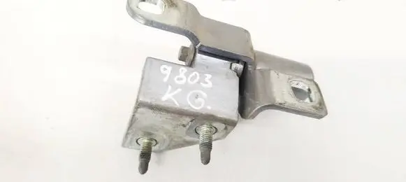 Tailgate/trunk/boot hinge