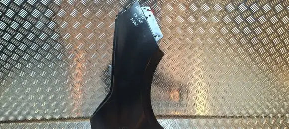 Fender
