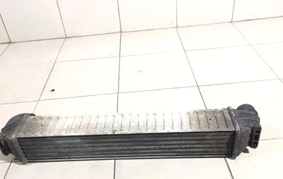 Volkswagen Sharan Intercooler radiator 7M3145805