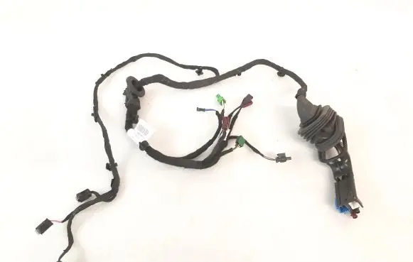 Rear door wiring loom