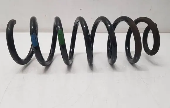 Rear coil spring