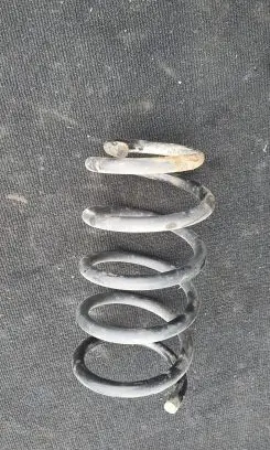 Hyundai Santa Fe Rear coil spring