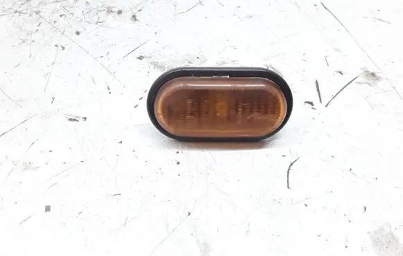 Front fender indicator light
