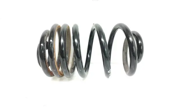 Renault Trafic III (X82) Rear coil spring
