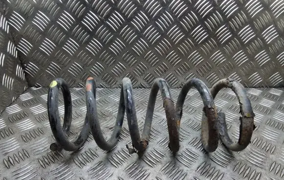 Chevrolet Captiva Rear coil spring