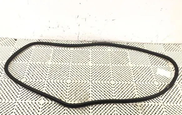 Peugeot 508 Rubber seal front door (on door)