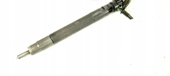 Ford Galaxy Fuel injector 9686191080