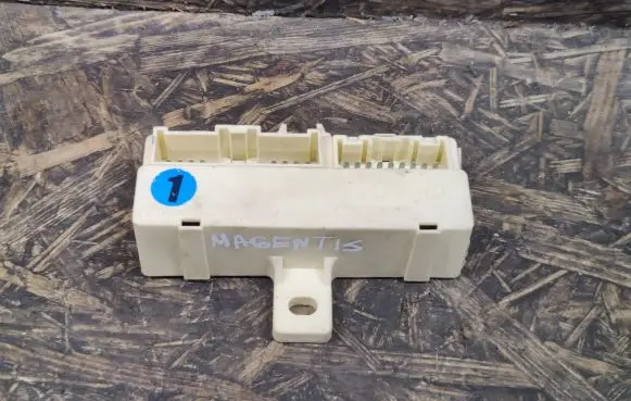 KIA Magentis Other control units/modules 919402G010