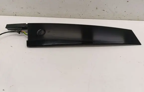 Ford Mustang Mach-E Front door glass trim molding LJ8BR20899AGW LJ8BR224B00BD