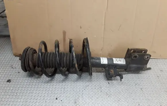 Citroen C4 I Front shock absorber with coil spring 824902002553