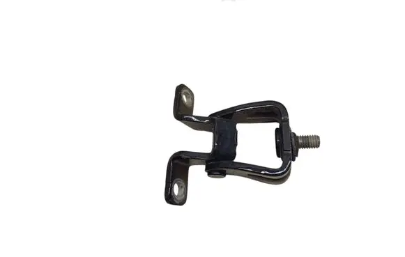 Volkswagen Tiguan Tailgate/trunk/boot hinge 5N0827301