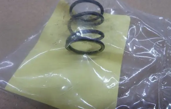 Renault Zoe Front coil spring 2424617032