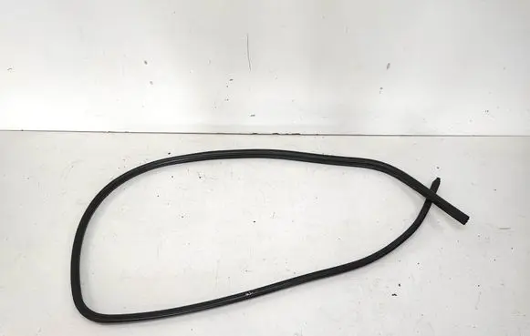 BMW X1 E84 Front door rubber seal 