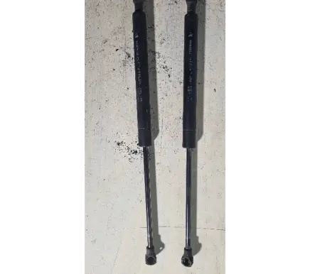 Tailgate strut