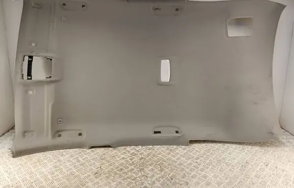 BMW X1 F48 F49 Headlining 