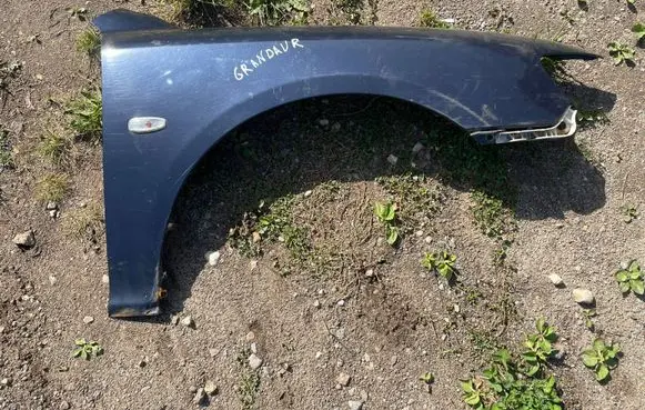 Hyundai Grandeur Fender