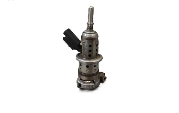 Citroen C3 Fuel injector 9813930180 P283B02060