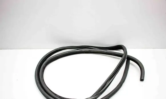 Chrysler 300C Rubber seal front coupe door 