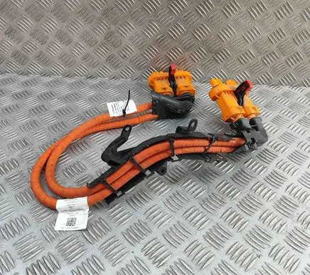 Audi Q4 Sportback e-tron Other wiring loom 1EA971015AK