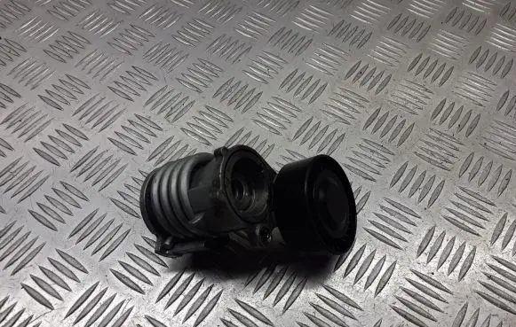 Seat Ibiza III (6L) Alternator belt tensioner pulley 